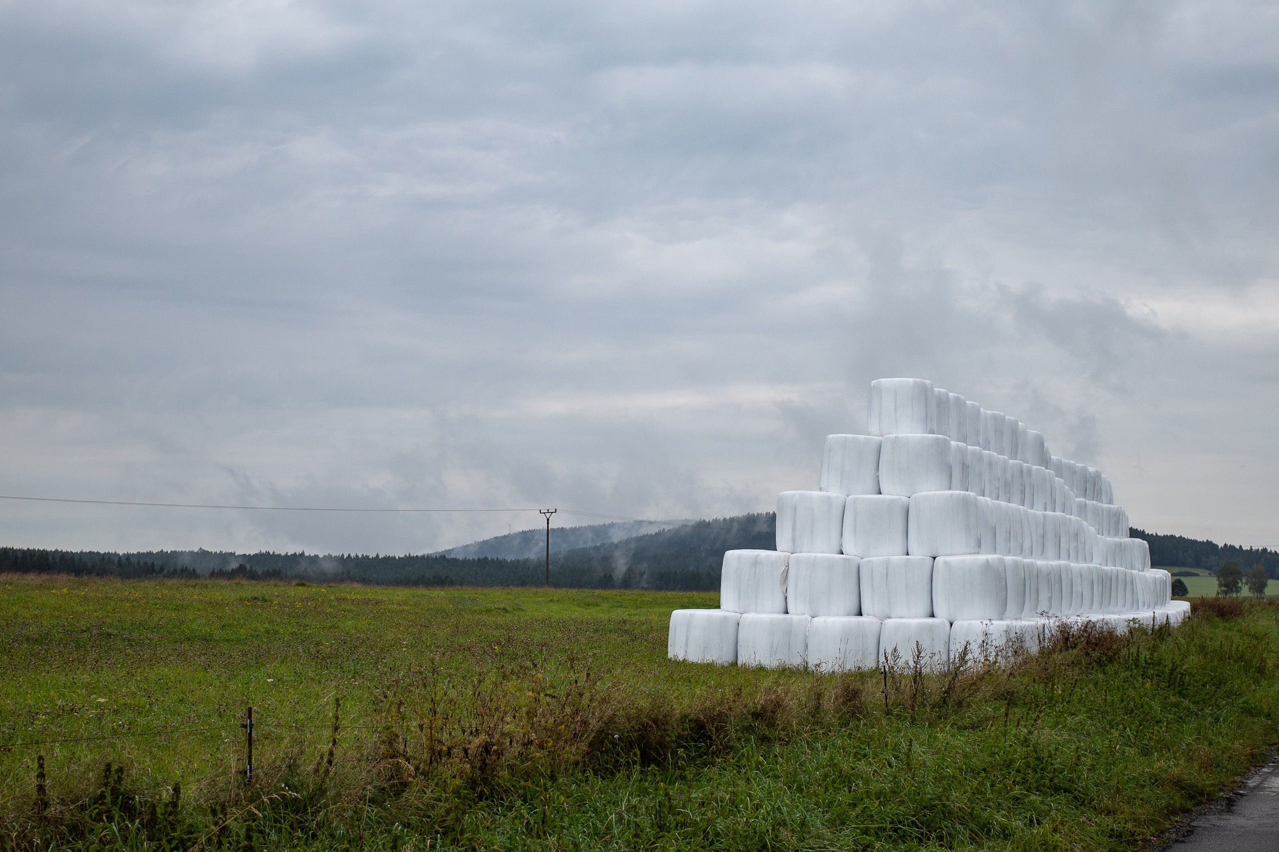 Pyramide aus weißen Silageballen, dahinter dampft der Wald nach dem Regen